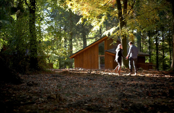 Cabin in forest