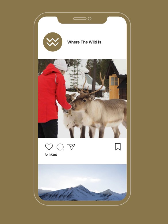 Where The Wild Is on mobile